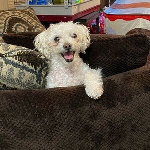 Meet your Posher, Leighann